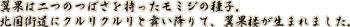 ʂ͓̗~W̎q